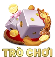 Chương trình VIP V99